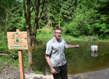 Forst schafft Lebensraum für Frosch, Kröte und Molch - Revierförster Alexander Clauß am Neuheider Teich im Revier Schönheide. Dieser wurde im Mai saniert. 