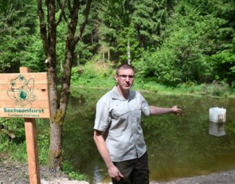 Forst schafft Lebensraum für Frosch, Kröte und Molch - Revierförster Alexander Clauß am Neuheider Teich im Revier Schönheide. Dieser wurde im Mai saniert. 