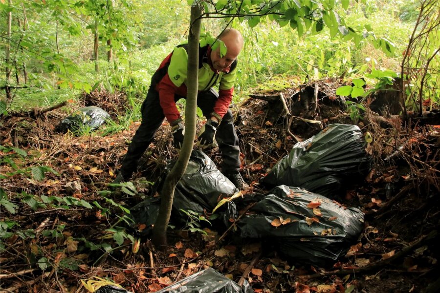 Forstleute im Vogtland schlagen Alarm: Gartenabfälle gehören nicht in den Wald - Manchmal findet Andreas Schuster die Gartenabfälle in Plastiksäcken verpackt im Wald.