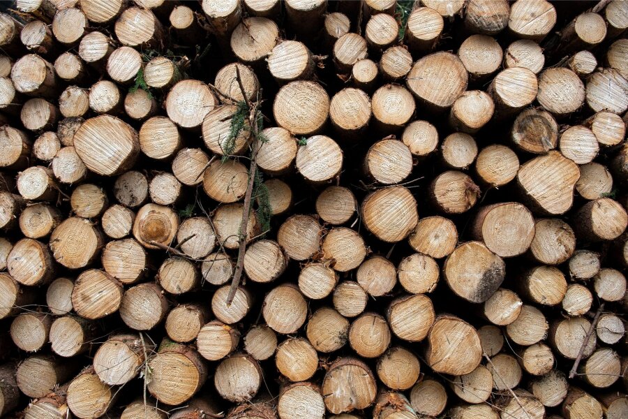 Frage an der TU Freiberg: Ist Holzenergie nachhaltig? - Um die Frage, ob Holzenergie nachhaltig ist, geht es in einem Onlinevortrag.