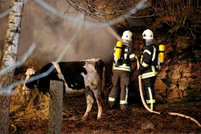 Frankenberg: Wann steht der Brandstifter von Mühlbach vor Gericht? - Am 9. Januar 2023 brannten in Mühlbach Strohballen, gelagert zwischen zwei Ställen. Alle 38 Rinder konnten gerettet werden.