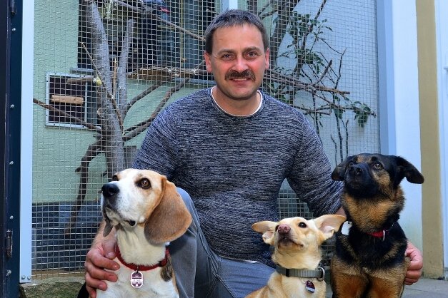Frankenberger müssen für Hund draufzahlen - Für Frankenberger Halter wie hier Mike Sonntag mit seinen Hunden Chita, Lulu und Bella (v. l.), wird es teurer werden. 