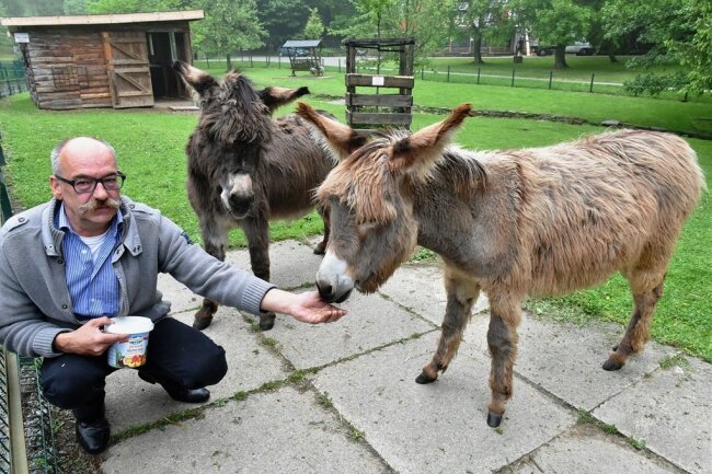 Freiberg: Auch Tierpark und Tierheim vom Unwetter betroffen - Im Tierpark Freiberg - hier ein Archivfoto mit Leiter Peter Heinrich Eselin Ella und Esel Christoph - drang Schlamm bis zum Gehege der Esel. Foto: Eckardt Mildner/Archiv