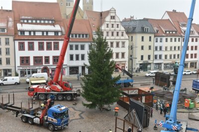 Freiberg hat seinen Weihnachtsbaum - 