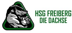 Freiberg: HSG-Handballer feiern ersten Auswärtssieg - 
