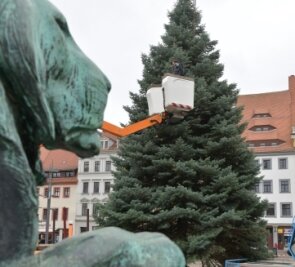 Freiberg sucht den Weihnachtsbaum - Eine 15 Meter hohe Kolorado-Tanne zierte im vergangenen Jahr den Obermarkt. 