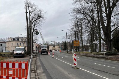 Freiberg: Wallstraße zwei Tage gesperrt - Am 23. und 24. Februar ist die Wallstraße am Bebelplatz wegen Baumfällarbeiten gesperrt.