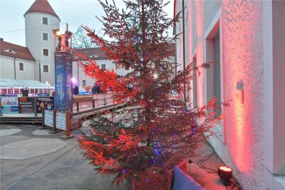 Freiberg: Wo einer der letzten Weihnachtsbäume der Stadt steht - Der letzte Weihnachtsbaum von Freiberg.