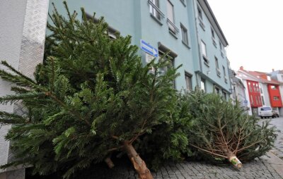Freiberg: Zusätzliche Termine für das Entsorgen der Weihnachtsbäume - 