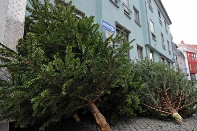 Freiberg: Zusätzliche Termine für das Entsorgen der Weihnachtsbäume - 