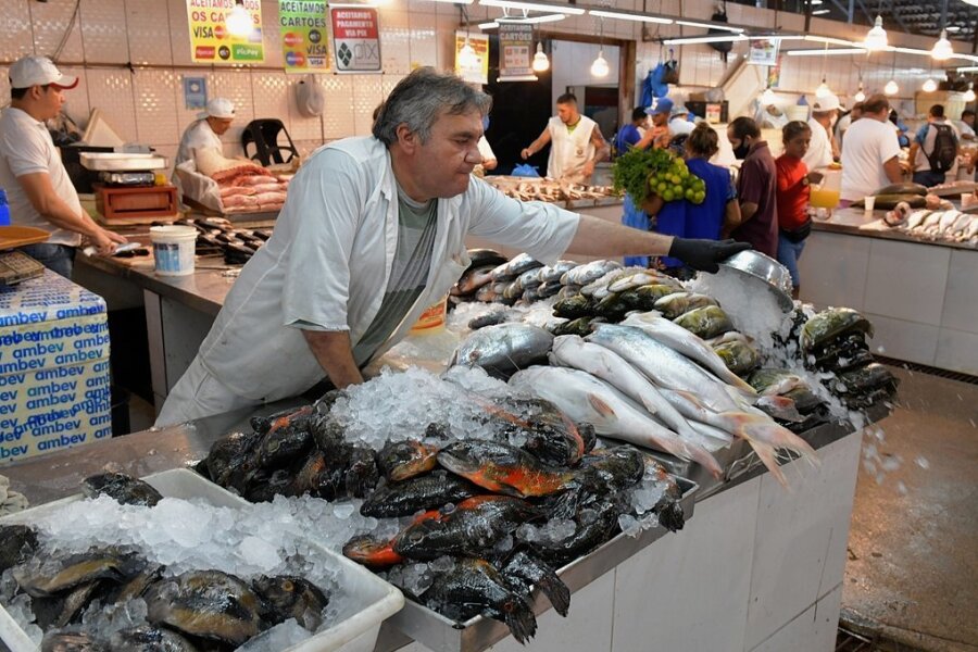 Der Fischmarkt in Manaus: Den Freibergern läuft schon das Wasser im Mund zusammen. 