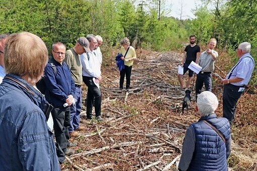 Mitglieder des Stadtrates und der Stadtverwaltung von Freiberg ließen sich am Dienstag von Sachsenforst-Mitarbeitern den Zustand des Stadtwaldes erläutern. 
