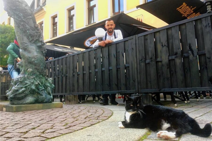Freibergs berühmteste Katze - Stammgast Sammy und Besir Mejdi von der Trattoria La Fontana in Freiberg. 