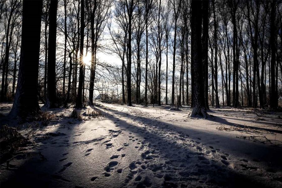 „Freie Presse“-Winterwanderung: Was hat Beutha mit „Die Räuber“ von Friedrich Schiller zu tun? - Wir laden zur Winterwanderung, bestenfalls in verschneiter und sonniger Landschaft.