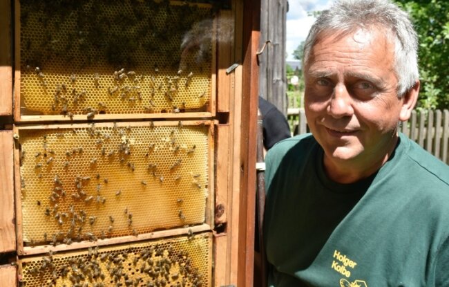 Freilichtmuseum: Schafe und Bienen ziehen 1300 Besucher an - Imker Holger Kolbe aus Leubetha an einer Schaubeute beim Imkertag in Landwüst.