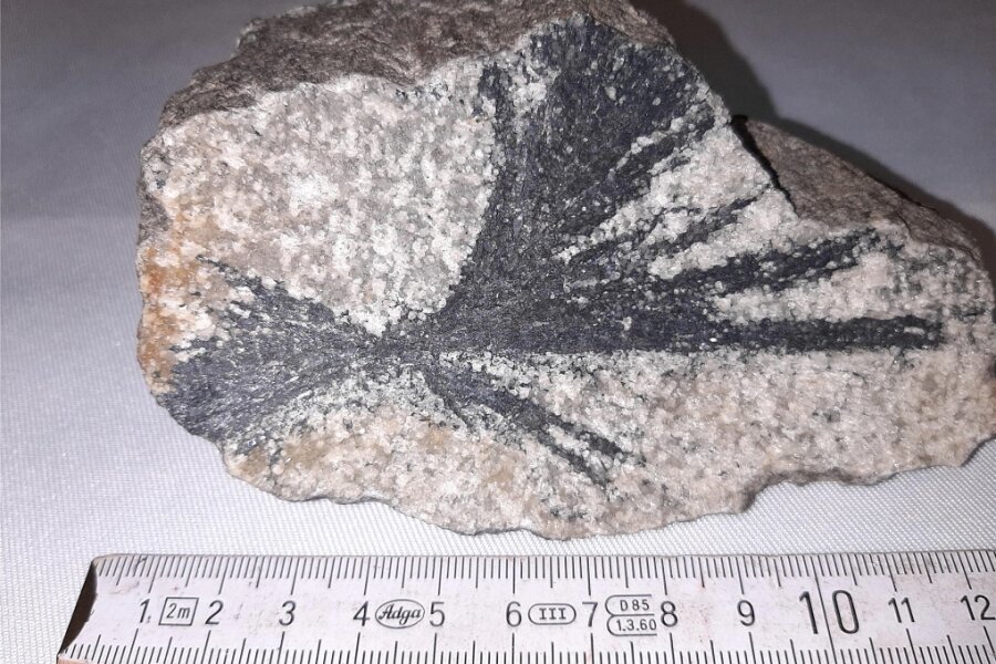 Freunde der Mineralogie/Geologie laden nach Ellefeld ein - Minerale wie dieser Antimonit aus dem ehemaligen Steinbruch Neumühle bei Greiz werden in Ellefeld gezeigt.