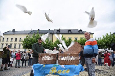 Friedenstauben steigen am Oelsnitzer Marktplatz in den Himmel - 40 Brieftauben wurden am Mittag aufgelassen.