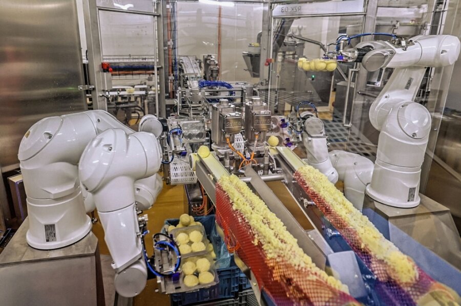 Friweika: Roboter helfen bei der Kloßproduktion - Aus der Teigmasse werden die Klöße geformt. Die Roboter können pro Tag rund 180.000 Klöße in die Verpackungen legen. 