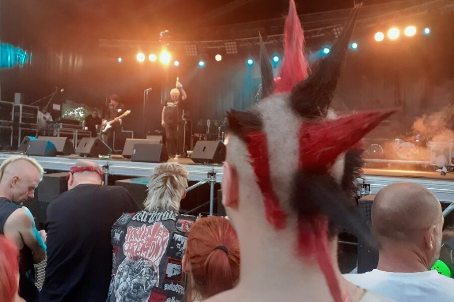 Ein Fan bei Festival "Back To Future", Sachsens größtes Punkfestival in Glaubitz. 