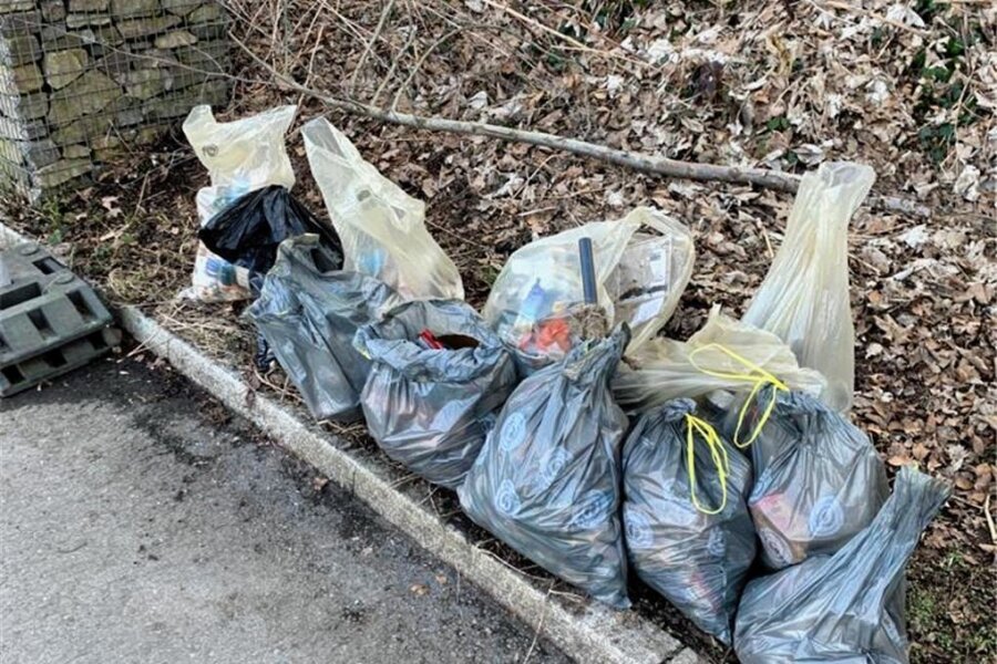 Frühjahrsputz am Zwickauer Airportteich-Areal - Die AG Naturschutz will Müll wie solchen an Straßenrändern und in den Wiesen des Airportteichs aufsammeln.