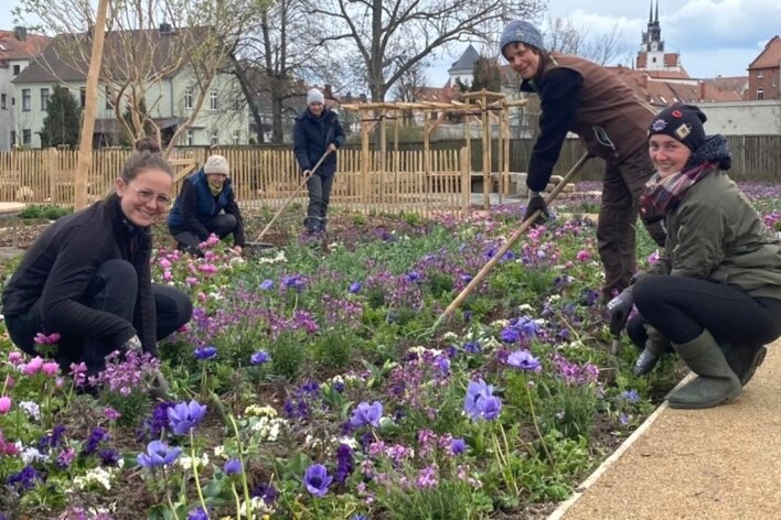 Frühlingsblüher für die neue Landesgartenschau - Gartenbauingenieurin Jenny Horn (vorn) und fleißige Helferinnen setzen Frühjahrsblüher. 