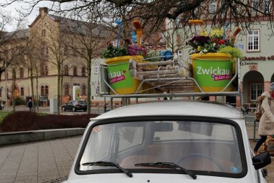 Frühlingserwachen in der Zwickauer Innenstadt - 