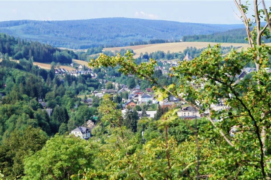 Führt bald ein Felsenweg zu Klingenthals Naturschätzen? - Der Blick auf Klingenthal vom zwischenzeitlich wieder fast zugewachsenen sogenannten Mohrenkopf-Felsen.