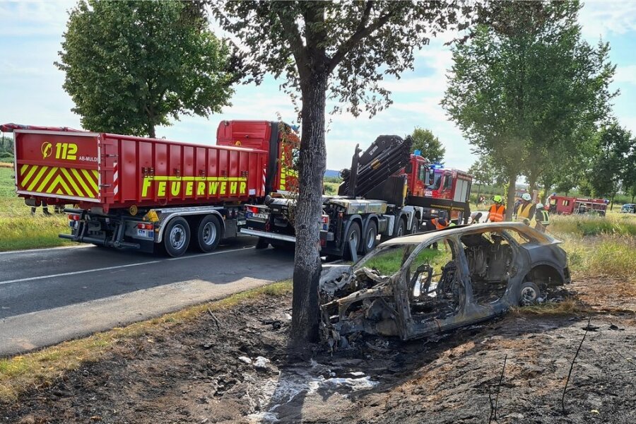 Fünf Mythen über E-Autos im Faktencheck - Unfälle von E-Autos erregen viel Aufsehen. So war es auch im Juli 2020, als in Brandenburg eine junge Frau mit ihrem Elektroauto gegen einen Baum prallte und in dem Wrack verbrannte. 