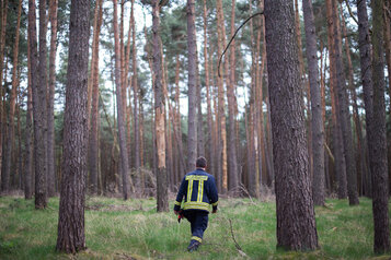 Fünfjährige in Wald verschwunden - Polizei sucht mit Großaufgebot - 