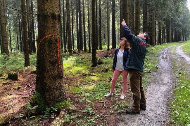 Für bessere Loipen: Bäume im Schönecker Wald werden gefällt - Revierförster Jan Zieger erläutert der Schönecker Hauptamtsleiterin Ute Dähn, welche Bäume in den nächsten Wochen entlang der Loipentrasse gefälltwerden sollen.