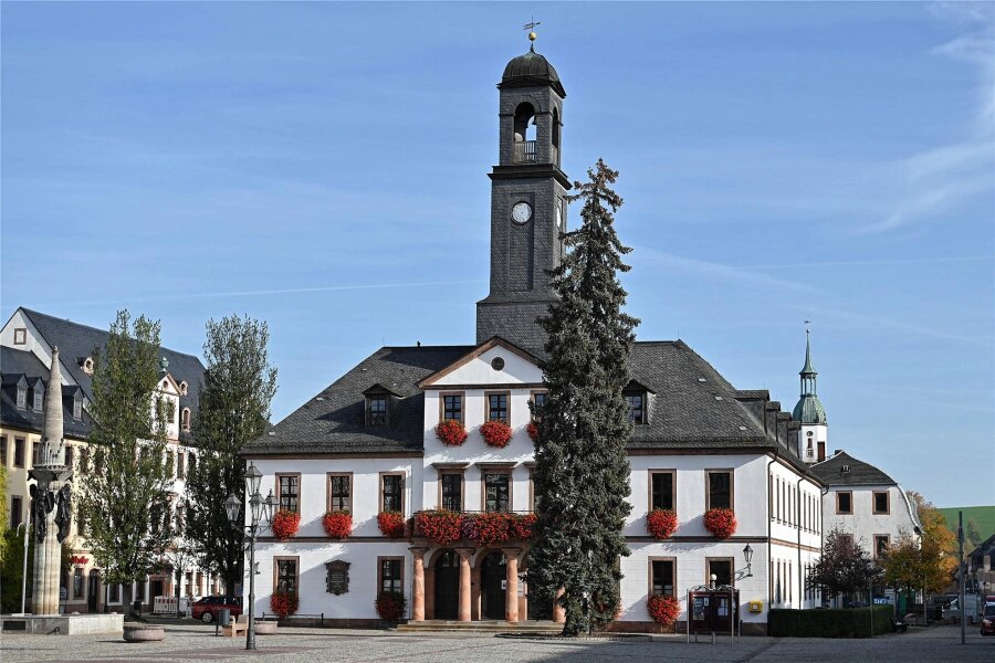 Für hohe Sprünge: Sportverein in Rochlitz erhält Geld von Stadt - Im Rochlitzer Rathaus gab es grünes Licht für einen Zuschuss an den VfA „Rochlitzer Berg“.