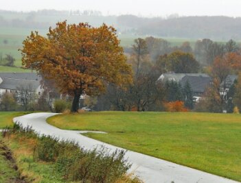 Für jeden Schulanfänger einen Baum - Entlang des Viehweges, der Niederalbertsdorf und Langenbernsdorf miteinander verbindet, sollen mehrere Bäume gepflanzt werden. 