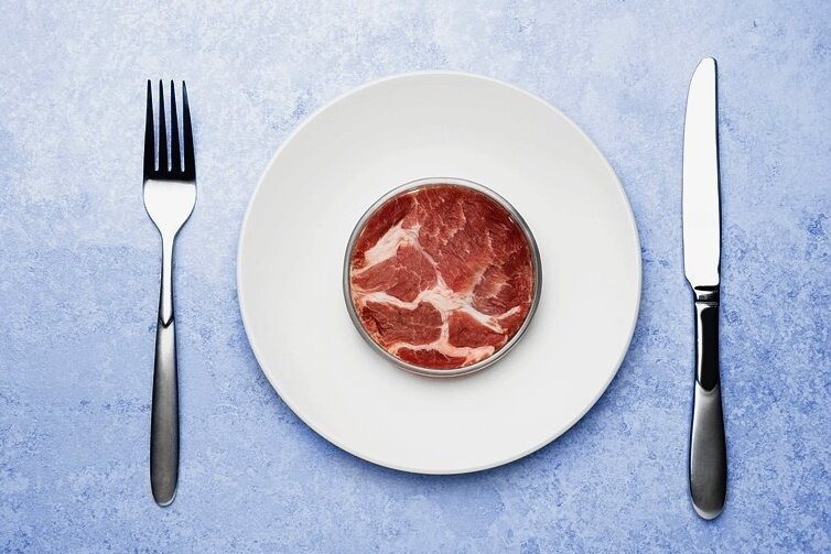Schon bald massentauglich: künstliches Fleisch aus Stammzellkulturen. 