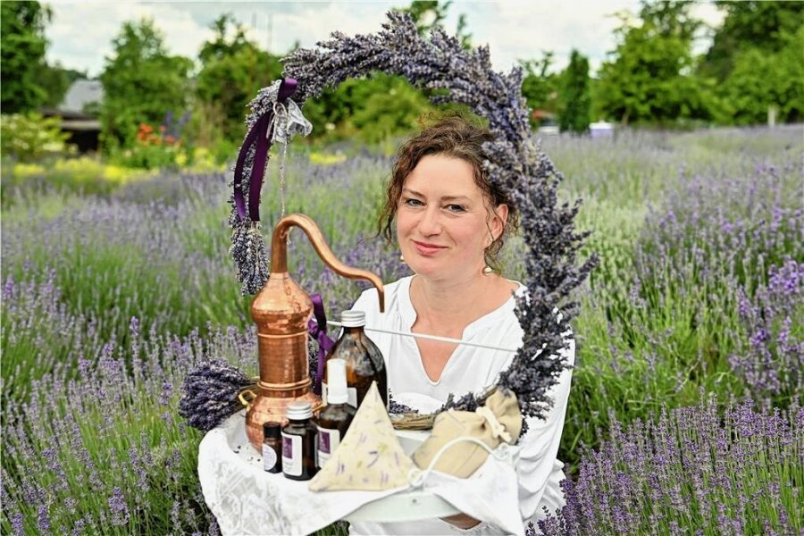 Für Öl, Sirup, Feste und Fotoshootings: Lavendelpracht in Königshain - Christine Winkler-Dudczig baut in Königshain Lavendel an. Aus diesem stellt sie Öl und Hydrolat her und fertigt auch Duftkissen und Accessoires.
