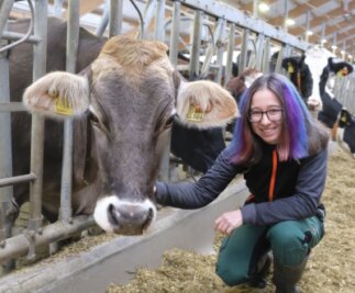 Für Sachsens beste Tierwirtin dreht sich alles um die Kuh - Jona Leistl mit der Milchkuh Blue Ivy in einem der modernen Offenfrontställe in der Milchviehanlage Rotschau der Agrargenossenschaft Reichenbach. 