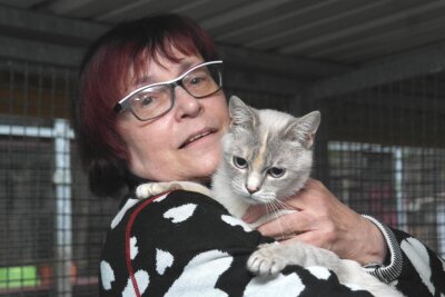 Fundkatze aus Rochlitz sucht nach ihrem Zuhause - Seniorchefin Rosi Pfumfel hält eine Siamkatze auf dem Arm. Die Seniorchefin hofft, dass sich Katze und Halter wiederfinden.