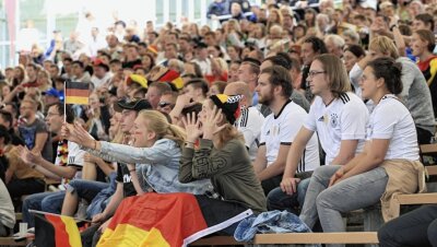 Fußball-WM: Gibt es Public Viewing? - 2018 fieberten die Fans noch im Parktheater mit - dieses Jahr wird es solche Bilder nicht geben. 