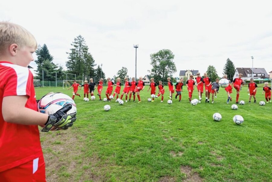 Fußballschule des FSV Zwickau macht eine Woche beim SV Planitz Station - 