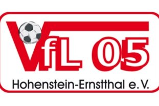 Futsal-Meisterschaft: Hohenstein-Ernstthal steht im Halbfinale - Die Futsal-Mannschaft des VfL 05 Hohenstein-Ernstthal hat das Halbfinale der Deutschen Futsal-Meisterschaft erreicht.