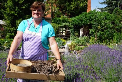 Ganz nah am Erzgebirge: das böhmische Lavendeldorf - "Rein gartentechnisch ist Lavendel eigentlich eine langweilige Pflanze. Sie blüht drei bis vier Wochen im Jahr und das war es dann", erzählt Simona Görtlerová, Gärtnerin und studierte Landschaftsarchitektin.