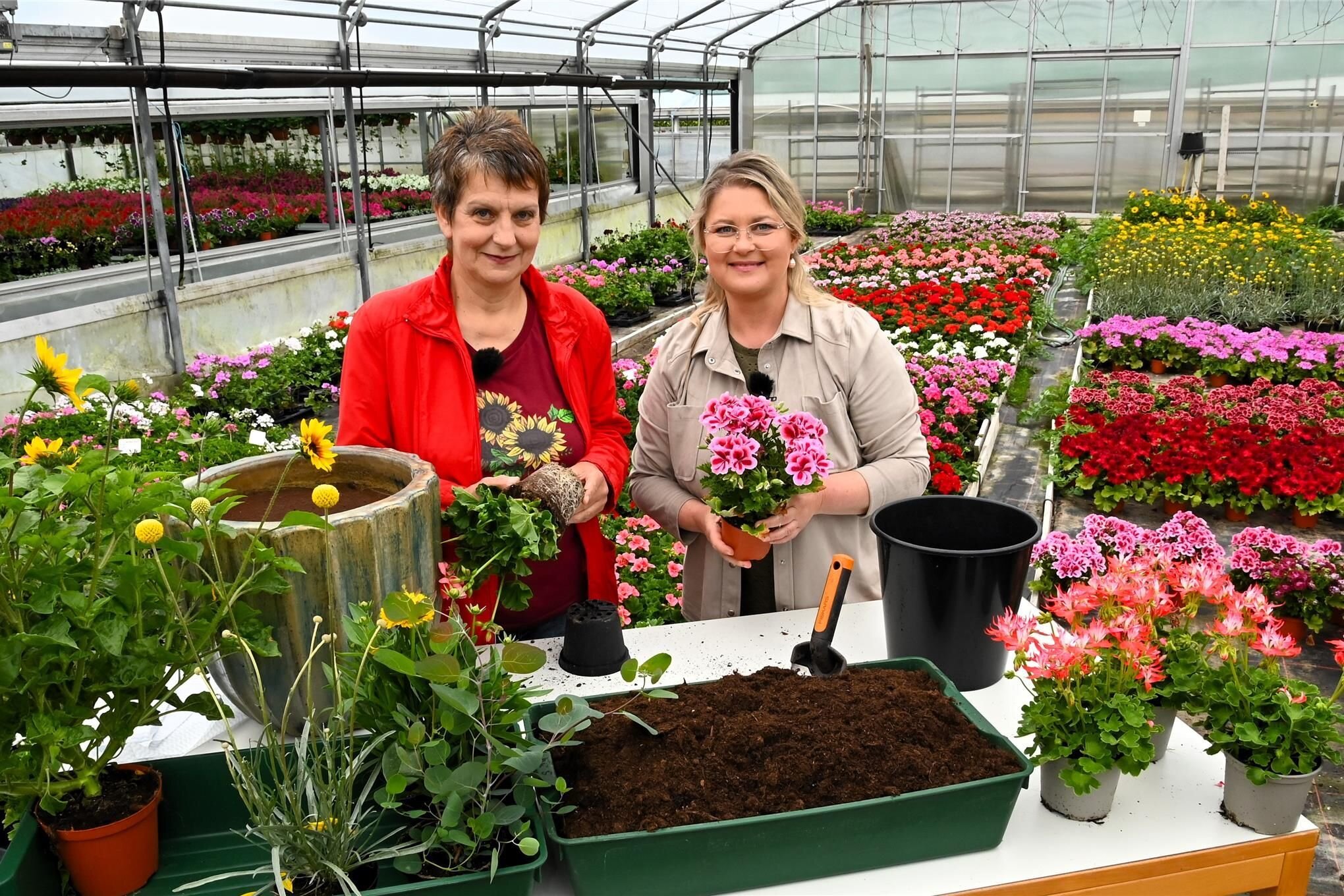 Gartenexpertin des MDR holt Sonnenkraft und Mondglanz aus Frankenberg