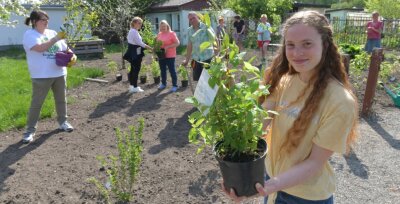 Gartenfreunde schließen sich Initiative "Freiberg pflanzt" an - 