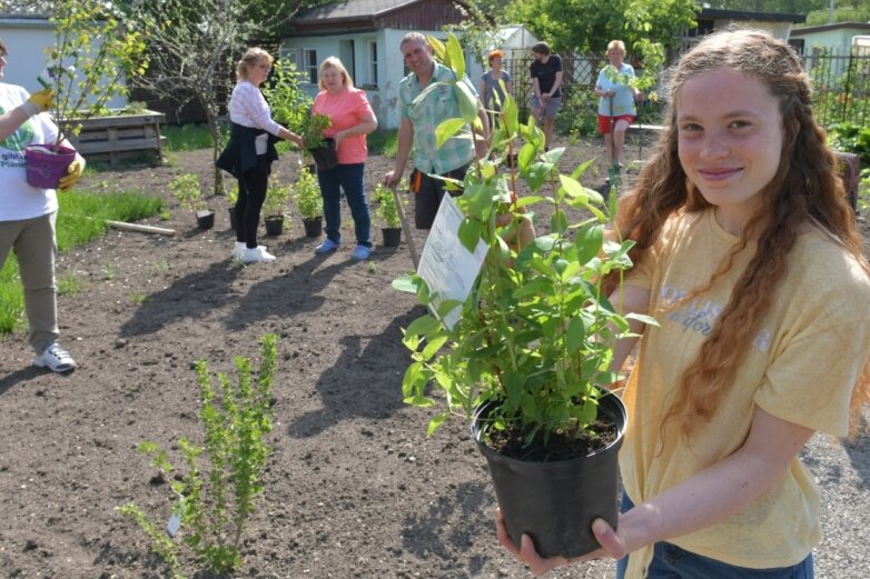 Gartenfreunde schließen sich Initiative "Freiberg pflanzt" an 