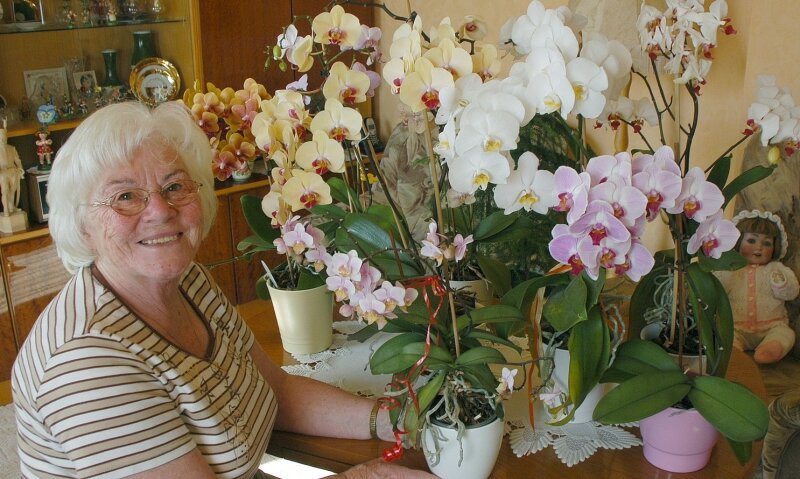 Orchideen von Ruth Unger in Crottendorf 