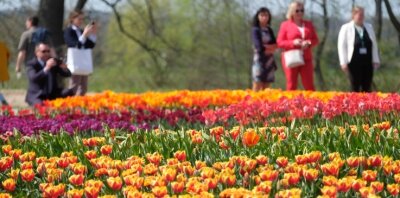Gartenschau: Stadt plant Millioneninvestition - Bunte Blumenbeete gab es 2019 bei der Landesgartenschau in Frankenberg. Nun soll Bad Schlema erblühen. 