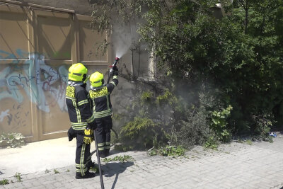Gebüsch gerät in Brand - Feuerwehr und Polizei waren im Einsatz.