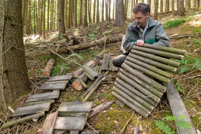 Gefährliche Pfade: Forst kämpft gegen illegale Strecken im Wald - Revierleiter Thomas Köhler vor den Überresten einer aus Holz gebauten Schanze. 