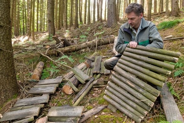 Gefährliche Pfade: Forst kämpft gegen illegale Strecken im Wald - Revierleiter Thomas Köhler vor den Überresten einer aus Holz gebauten Schanze. 