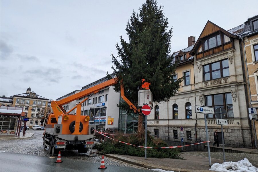 Gefährliche Schieflage: Warum eine Stadt im Erzgebirge ihren Weihnachtsbaum fällen lässt - Am Montag sind Mitarbeiter des städtischen Betriebshofes am Postplatzes in Aue angerückt, um den Weihnachtsbaum zu fällen.