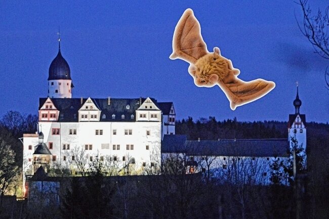 Geisterführung für Kinder - Rund um die Fledermaus geht es bei einer Führung an Halloween auf Schloss Rochsburg. 